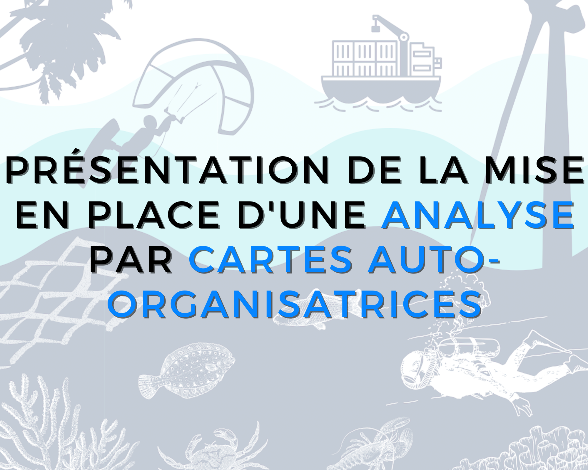 présentation de la mise en place d'une analyse par cartes auto-organisatrices